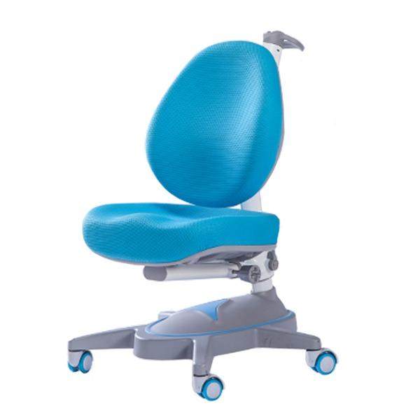 Ergo Plus Kids Ergonomic Chair (Self Setup)