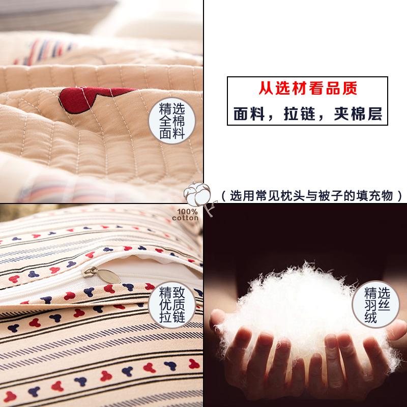 100% Cotton Vỏ Gối 100% Cotton Dày Chần Bông Bộ Ruột Gối Duy Nhất Hai Người Phong Cách Châu Âu Diềm Hoa 4874 Cm Vỏ Gối