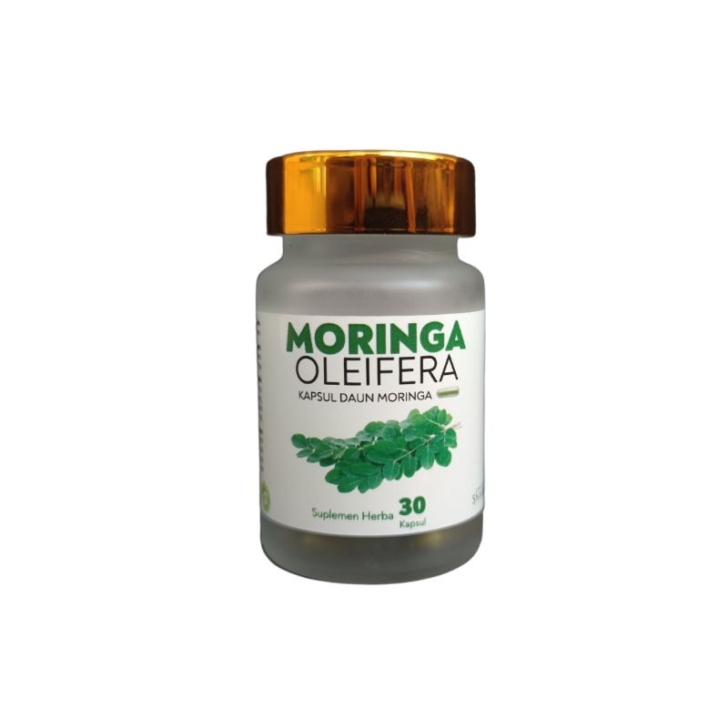 READY STOCK Teh Daun Moringa Kelor Moringa Oleifera Tea Lazada