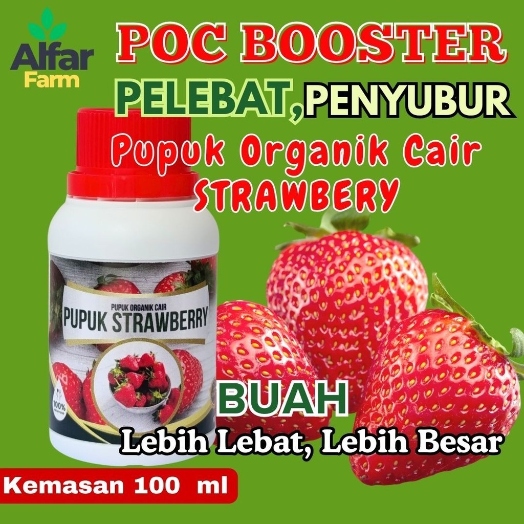 Pupuk Organik Strawberry Pelebat Buah Strawberry Booster Buah