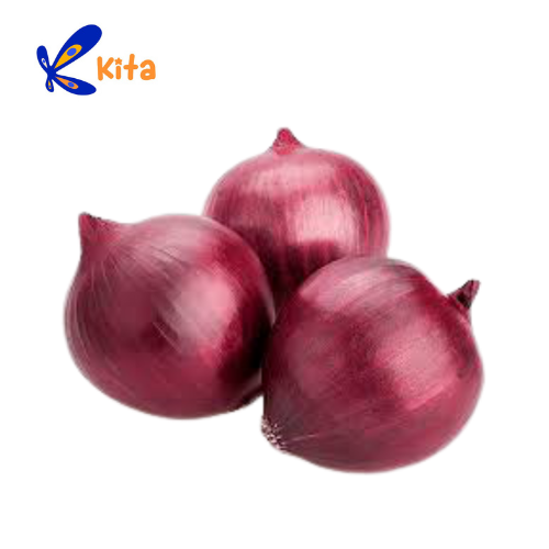 Red Onion Sibuyas Na Pula Lazada PH