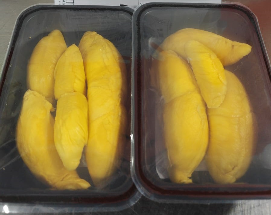 Fresh Durian Musang King Black Gold Msw Old Tree