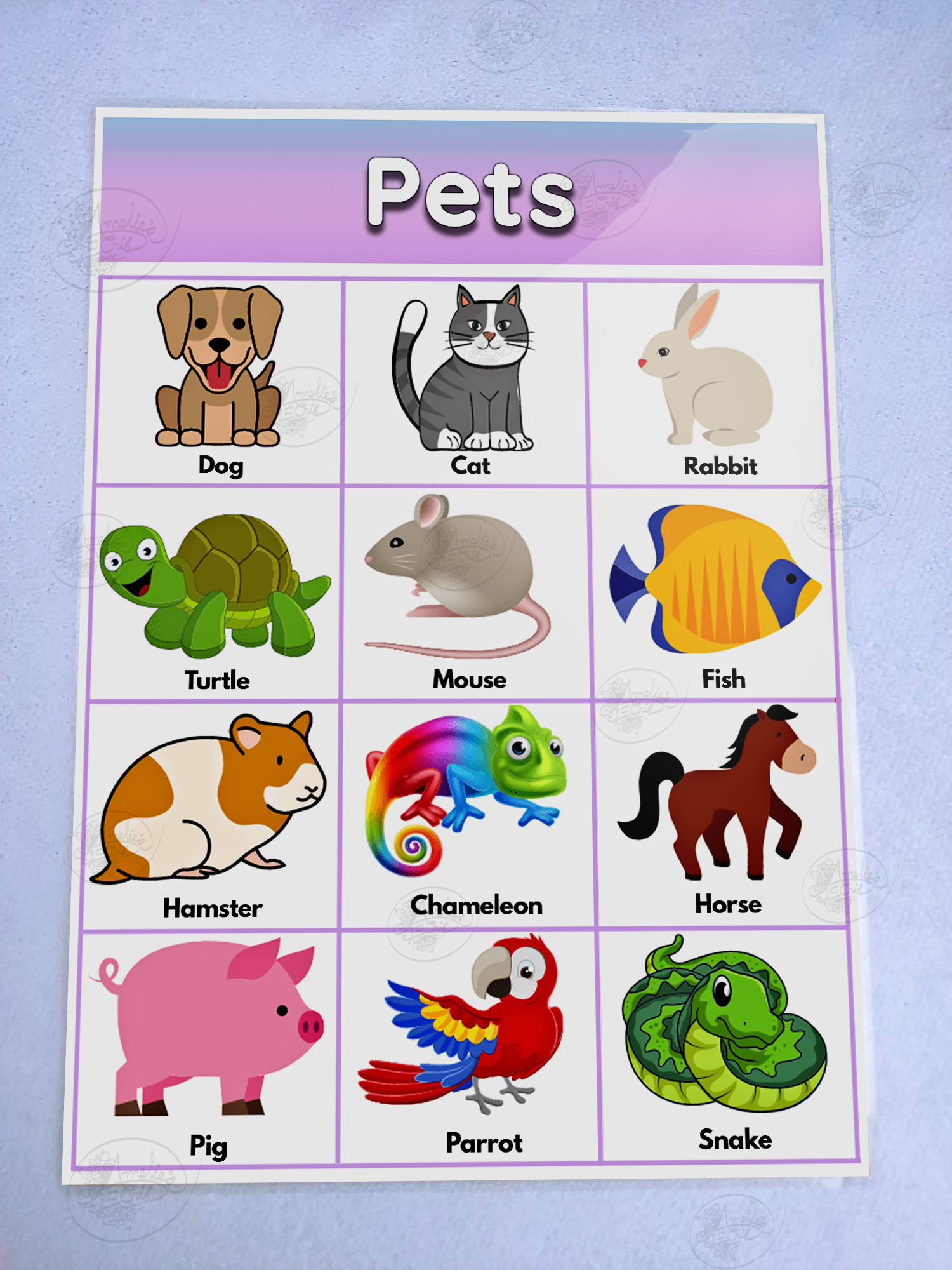 Pets Laminated Educational Chart A4 Mga Alagang Hayop Wall Charts For