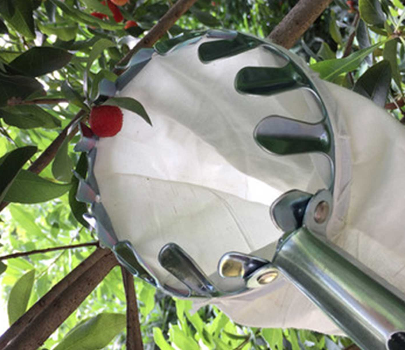 PANUNGKIT 3meters Panungkit Ng Prutas High Quality Metal Fruit Picker