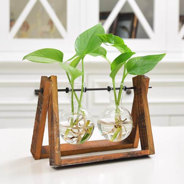 LumiParty Creative Plant Glass Hydroponic Container Terrarium Desk Decor with Wood Stand Flower Pot Home Decoration Size:2 glass balls