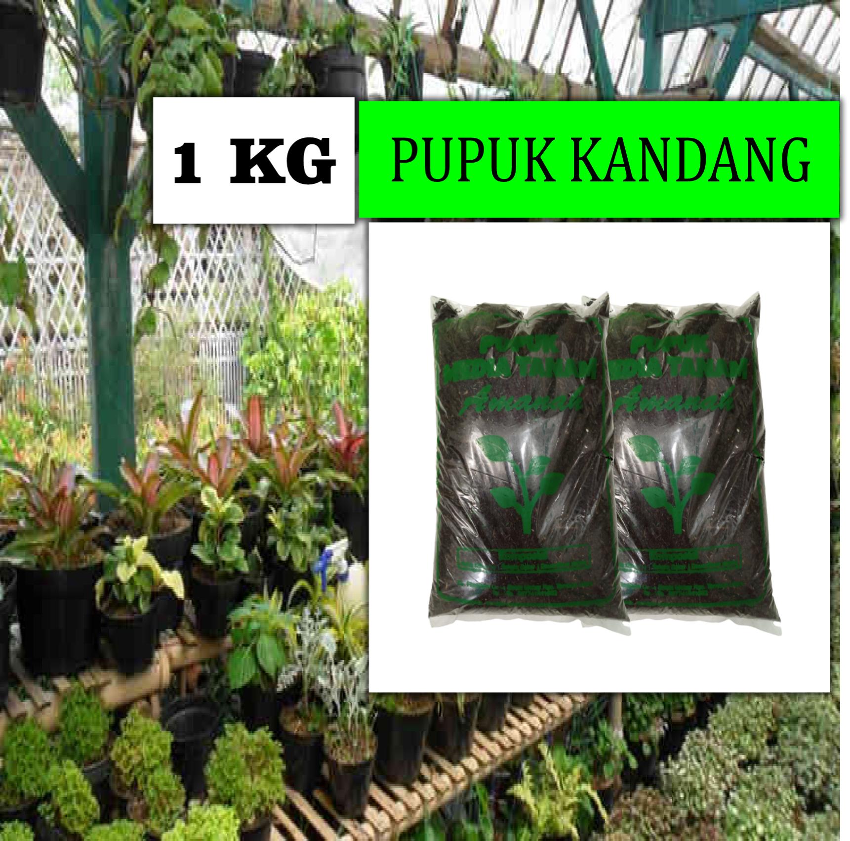 Pupuk Kandang Kambing Bagus Untuk Merangsang Bunga Buah Siap Pakai