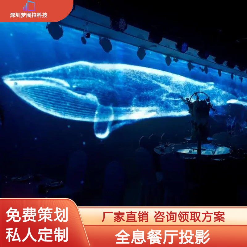 Naked Eye 3D Holographic Restaurant Immersive Bar KTV Projector Wall