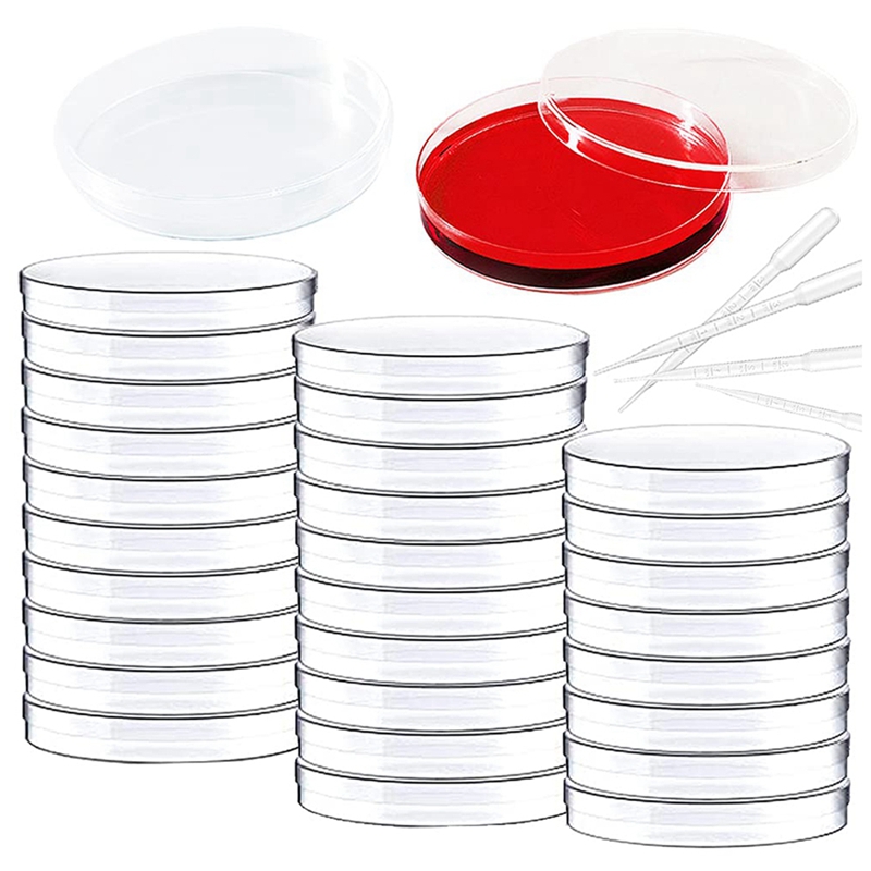 Sterile Plastic Petri Dishes With Lid Clear Petri Dishes With Pipettes