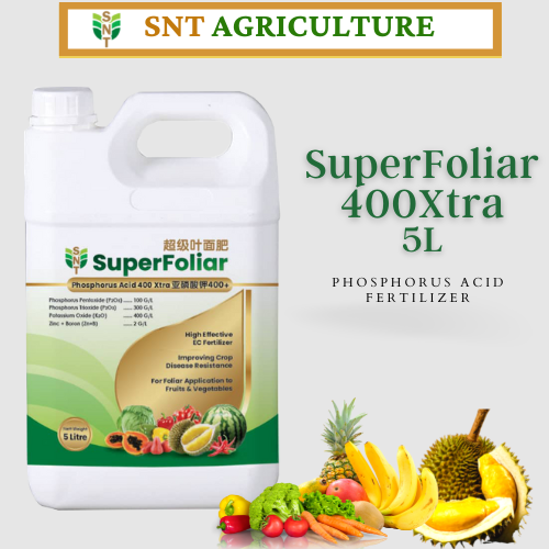 SNT SuperFoliar Phosphorus Acid 400Xtra 超级叶面肥 5L for durian tree