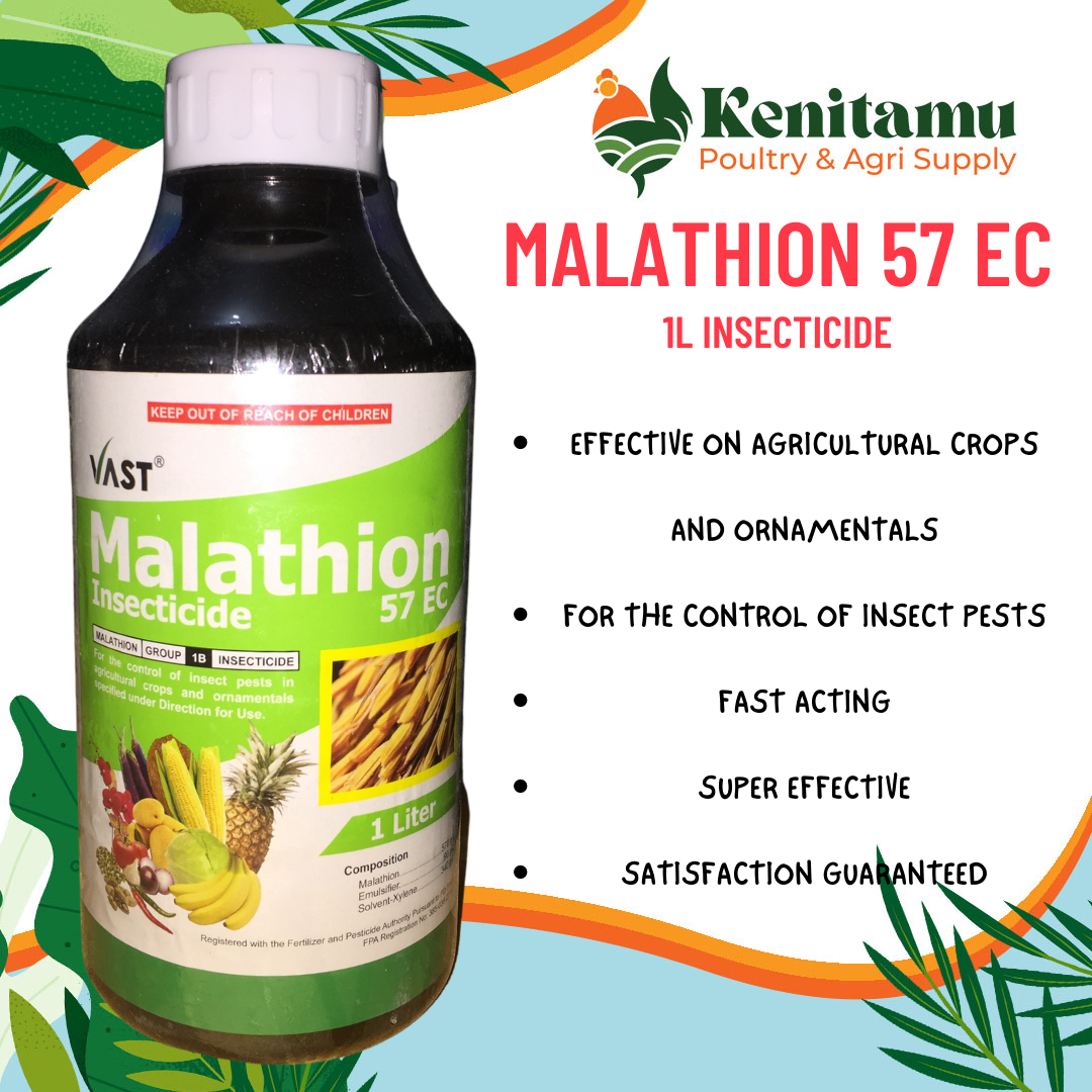 MALATHION 57EC 1L INSECTICIDE BY VAST AGRO SOLUTIONS INC FOR PLANT