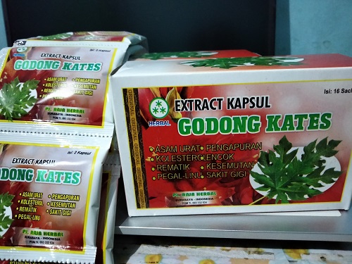 GODONG KATES Kapsul DAUN PEPAYA Pegal Linu Harga Per SACHET Lazada