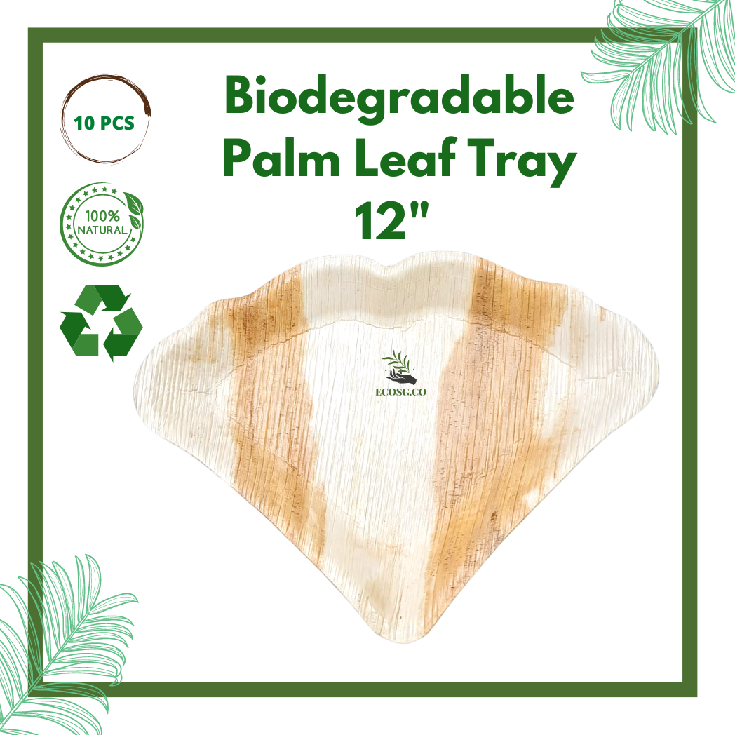 Disposable Plates Disposable Tableware Palm Leaf Disposable Fruit