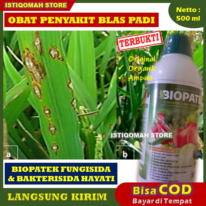 COD AMAN Fungisida Hayati BIOPATEK 500ml Atasi Penyakit Blas Pada Padi