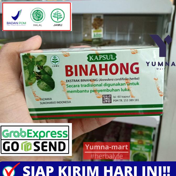 Kapsul Daun Binahong Obat Patah Tulang Herbal Luka Operasi Dalam