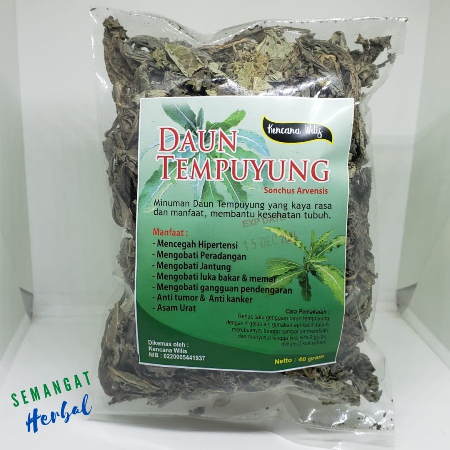 Daun Tempuyung Kering Kencana Wilis Gram Lazada Indonesia