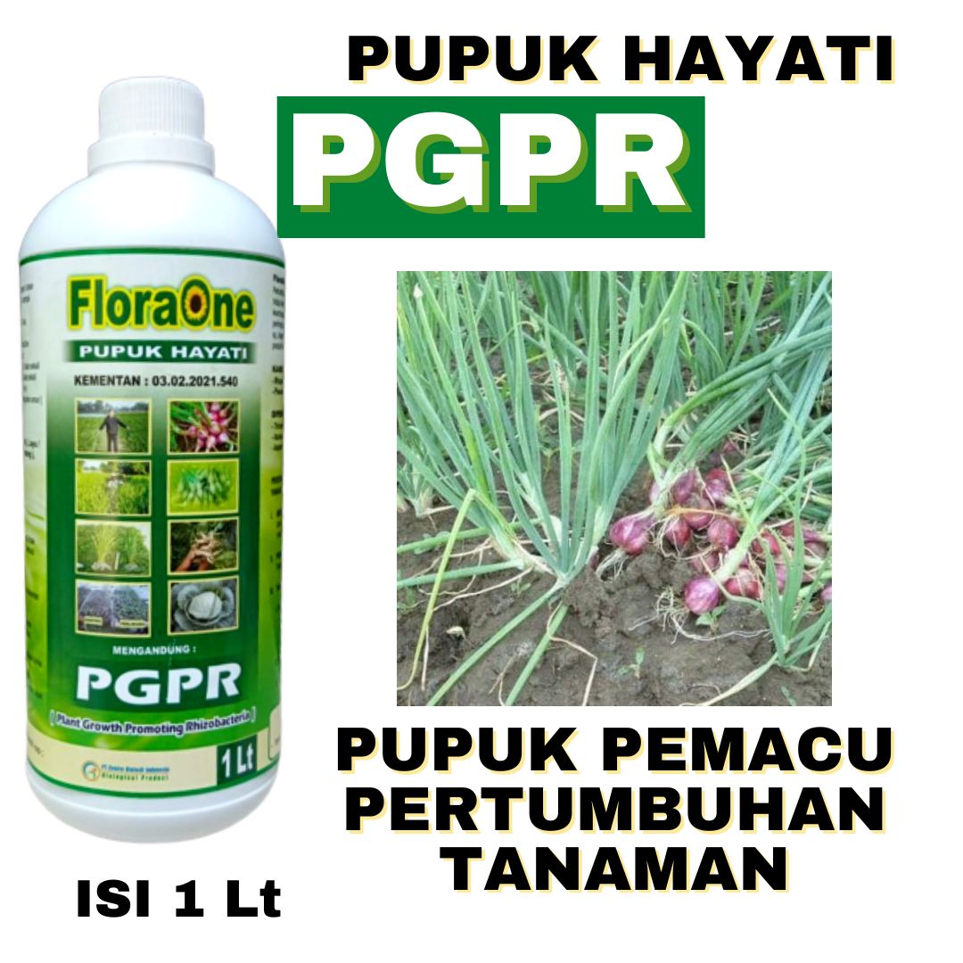 Pupuk Pgpr Rhizobium Sp Cair Fungisida Hayati Cair Lazada Indonesia