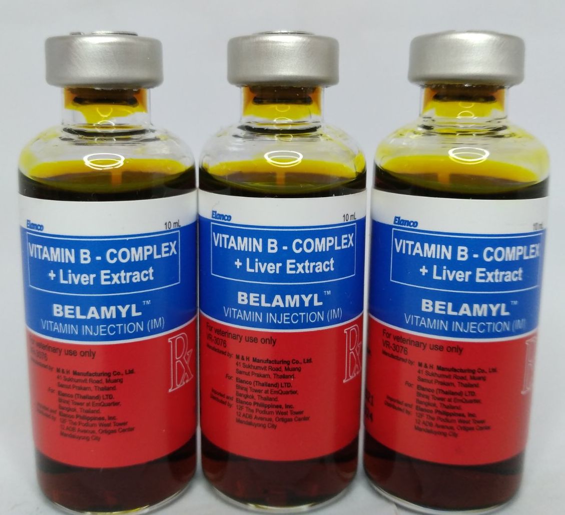 Jwr Agrivet Box Belamyl Ml Vitamin Injection Vitamin B Complex