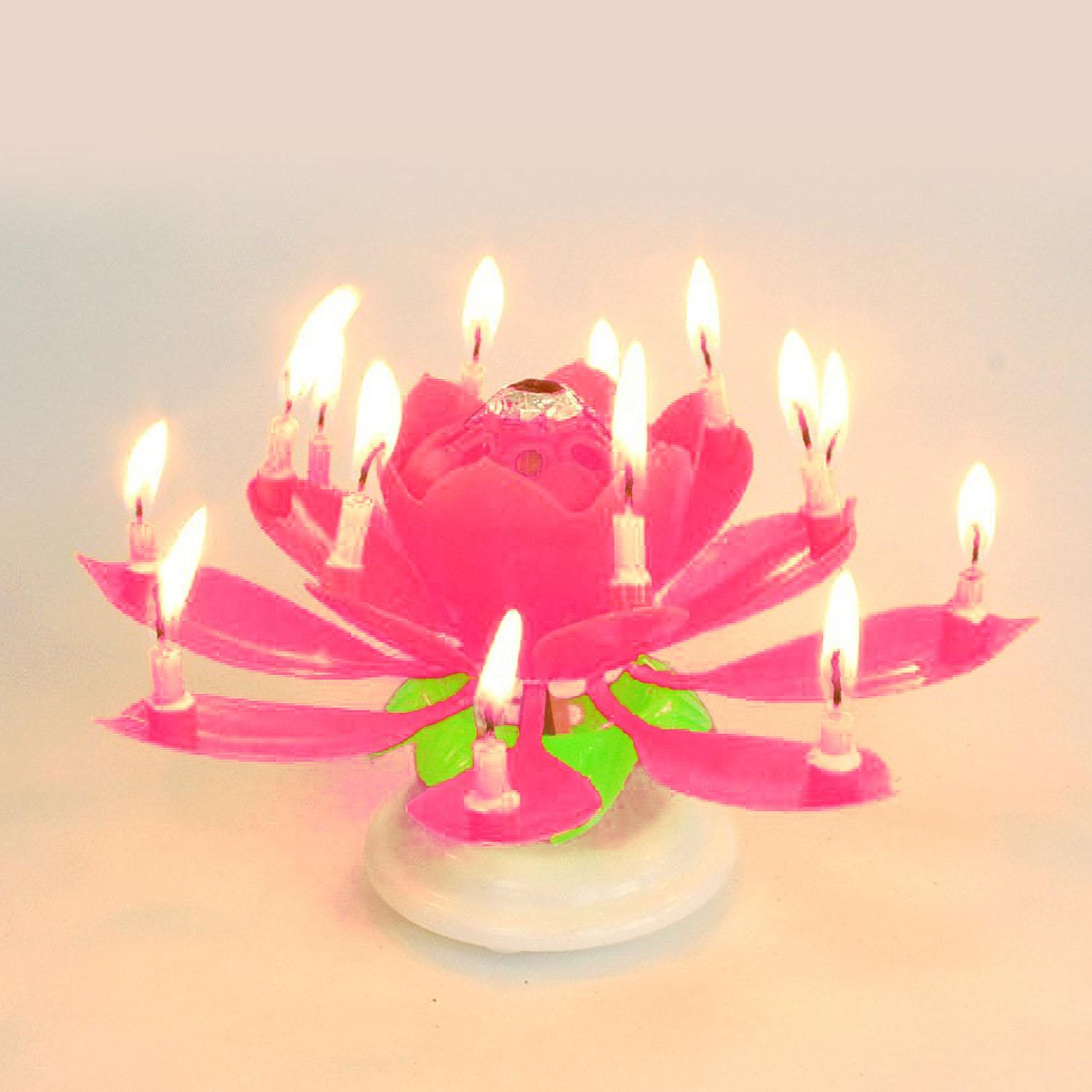 Flower Shaped 2-Layer 14-Candle Birthday Electric Music Paraffin Candle Flaming Flower Candle Pink - intl