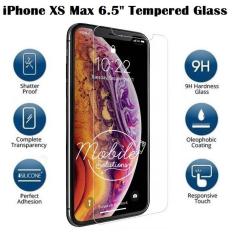 iPhone XS Max 6.5 Tempered Glass Screen Protector (Clear)