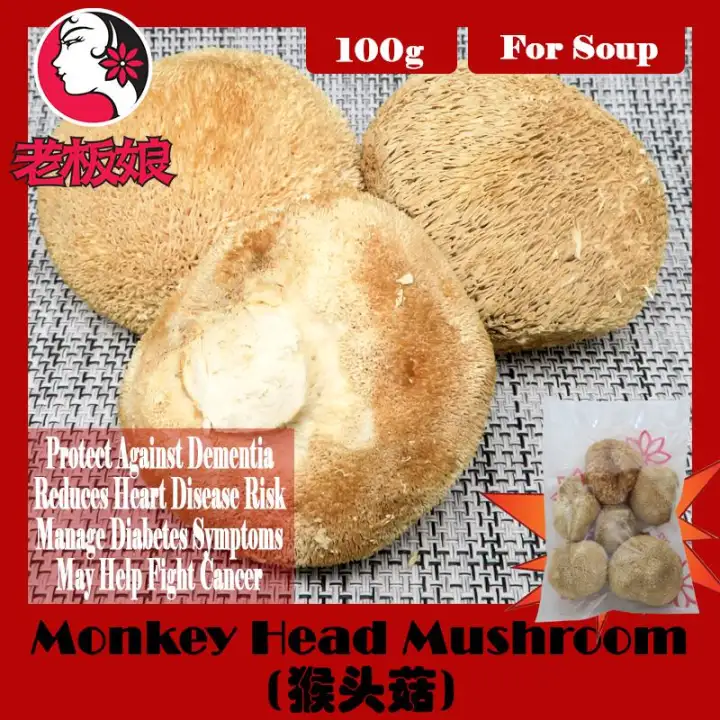 Dried Monkey Head Mushroom 猴头菇 100g Lazada Singapore
