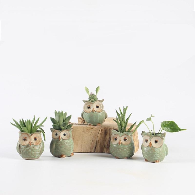 5pcs/lot Creative Ceramic Owl Shape Flower Pots for Fleshy Succulent Plant Animal Style Planter Home Garden Office Decoration - intl