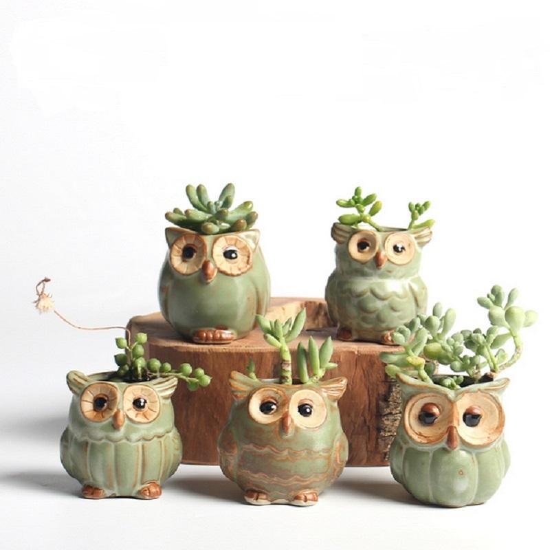 5pcs/lot Creative Ceramic Owl Shape Flower Pots for Fleshy Succulent Plant Animal Style Planter Home Garden Office Decoration - intl