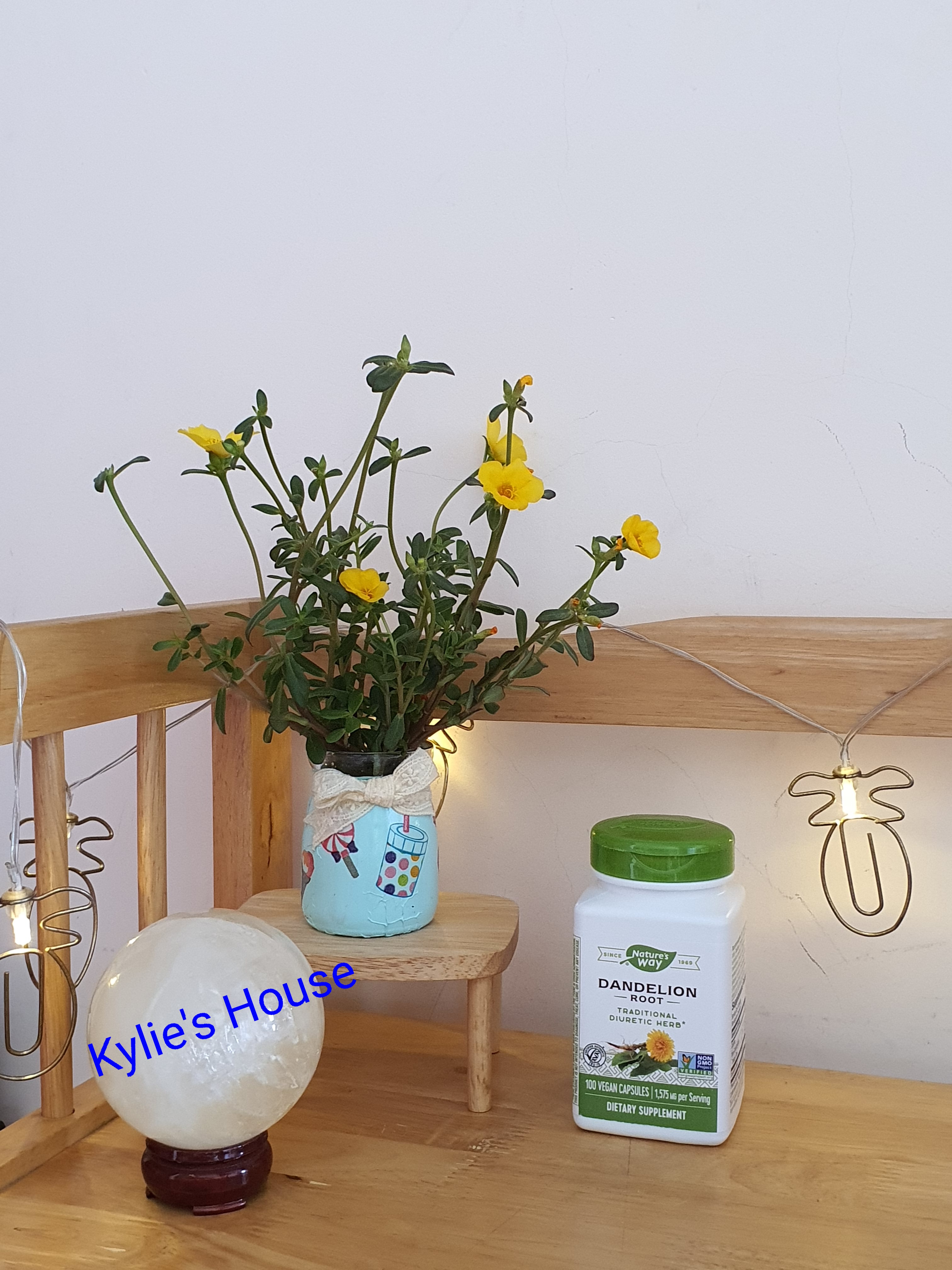 Nature's Way Dandelion Root - Rễ bồ công anh 100v