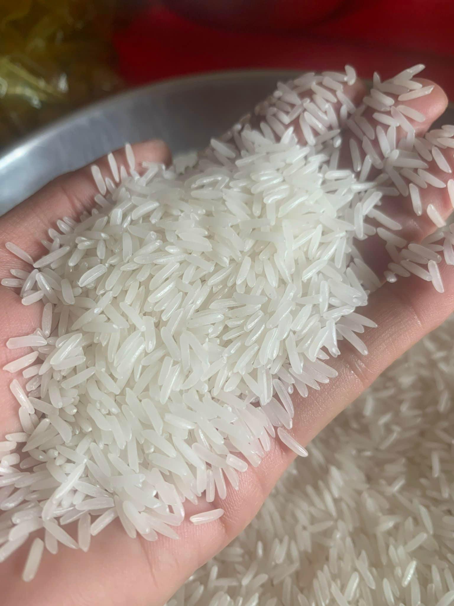 GẠO ST25- túi 5kg