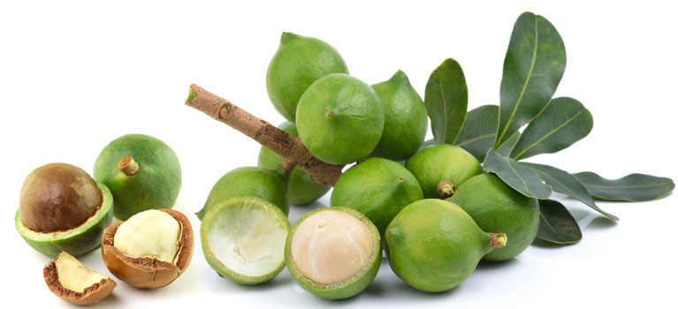 Hạt Macca nứt vỏ Đắk Lắk - 500gr