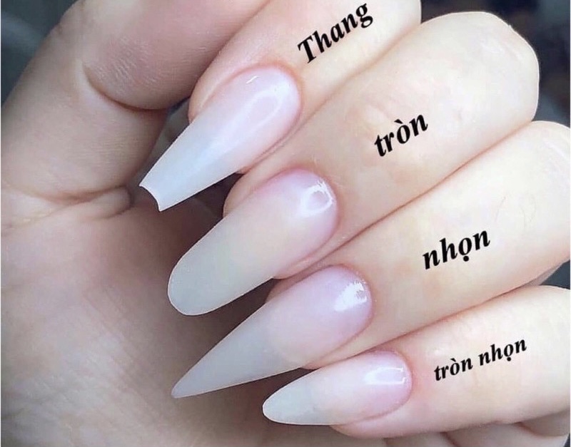 Nailbox xanh dương pastel trơn