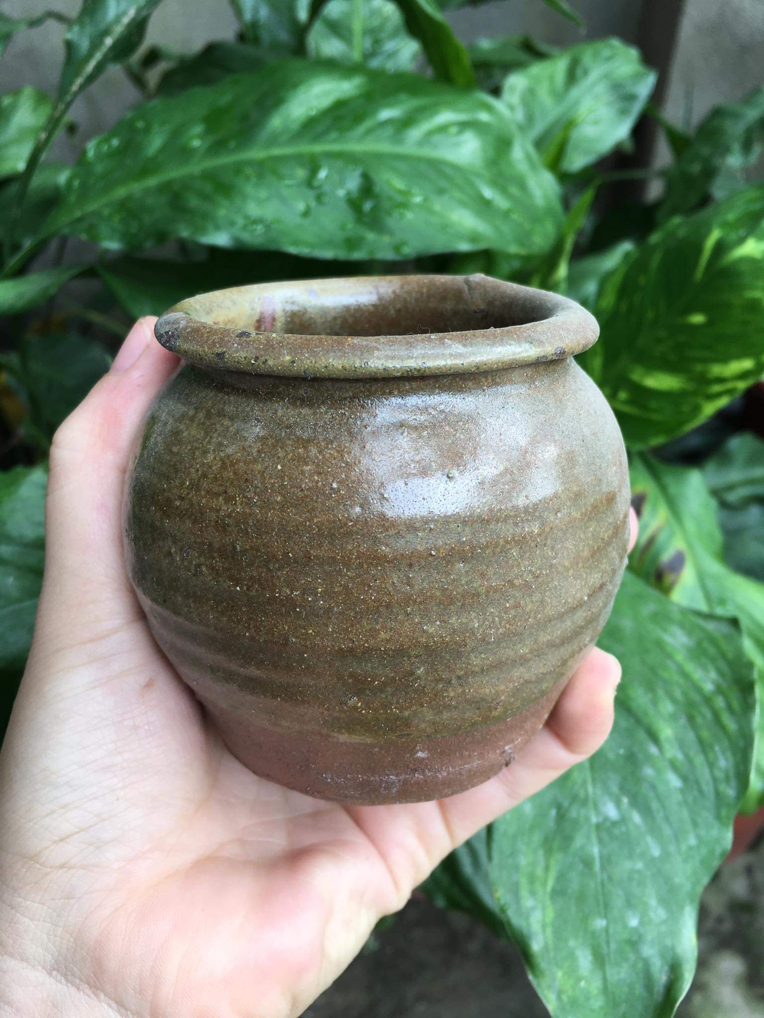Chậu gốm sứ mini hàng xuất khẩu bền đẹp