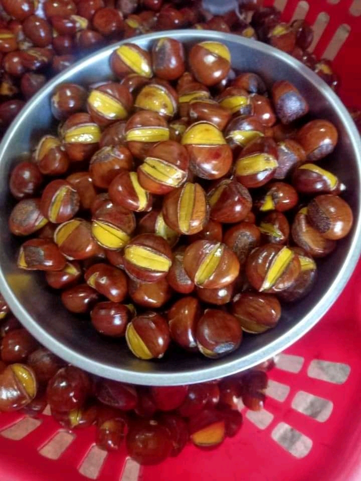 Hạt dẻ Tươi [ 1ki bở ,ngọt ]