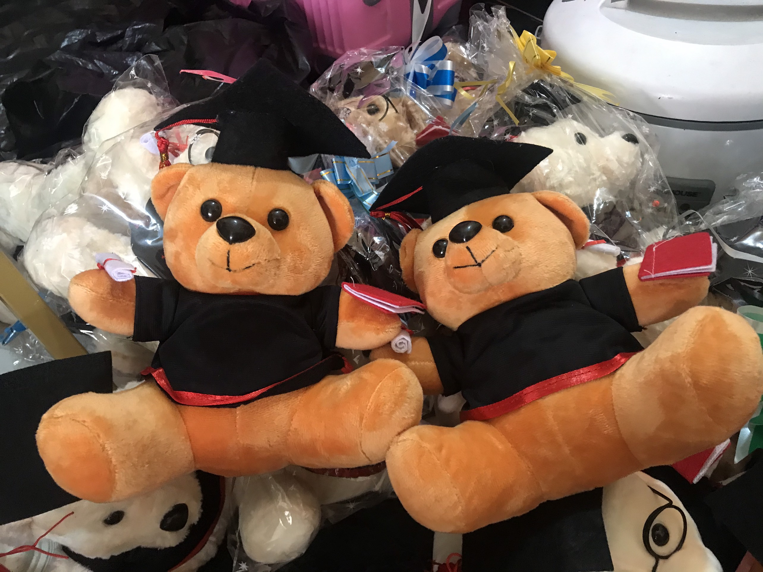 Gấu bông tốt nghiệp
