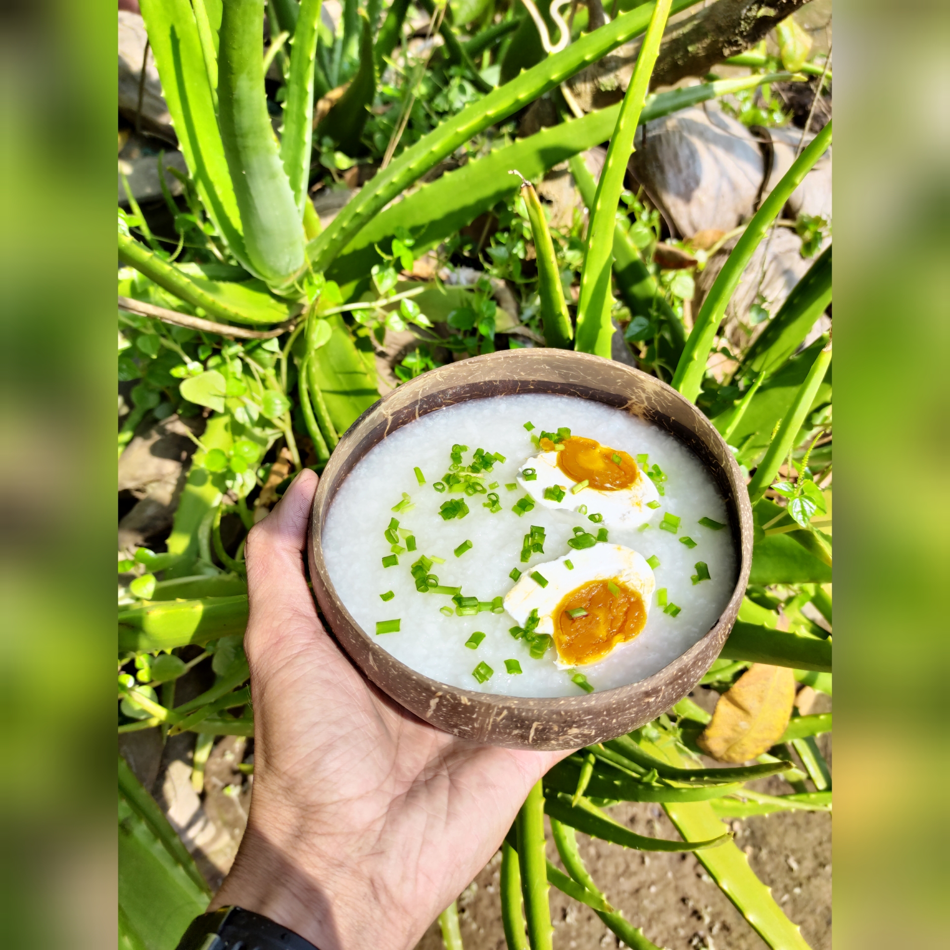 Bát gáo dừa kèm thìa gỗ dừa