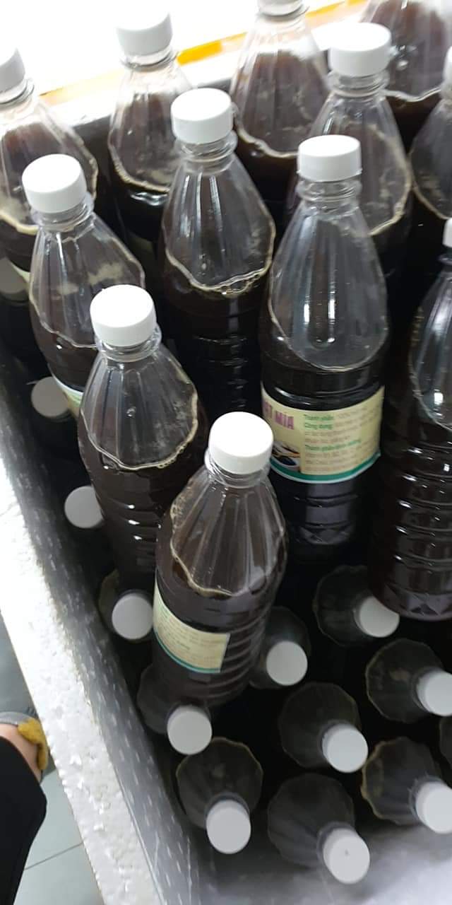 Các món đông lạnh
