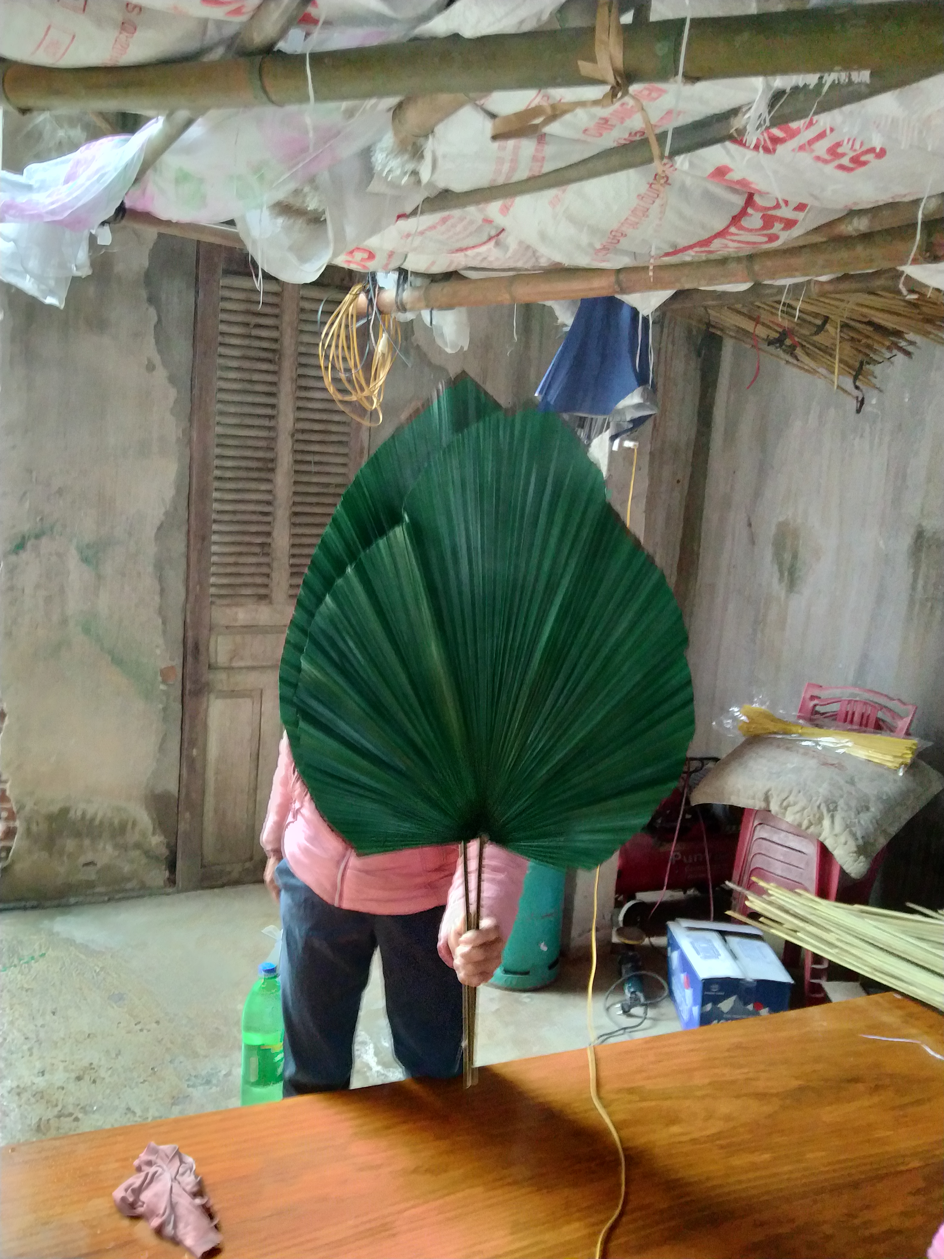 Lá cọ trang trí