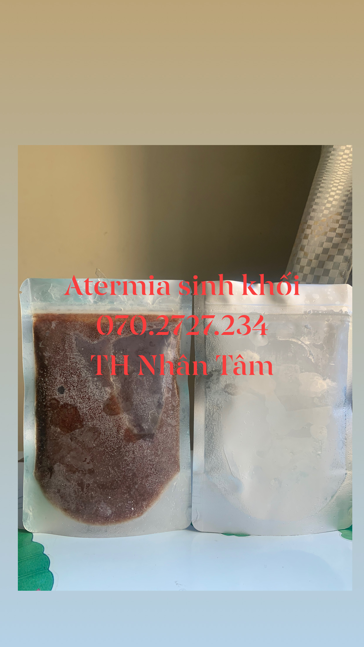 Atermia Sinh Khối Đông Lạnh