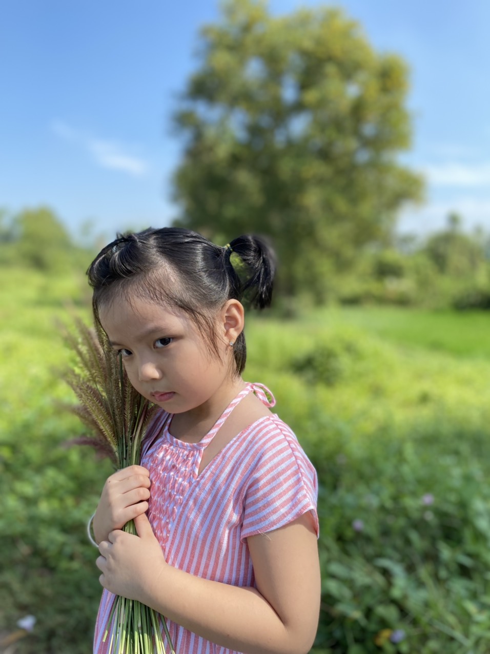 ĐẦM SỌC HỒNG BEE BEE KID CUTE