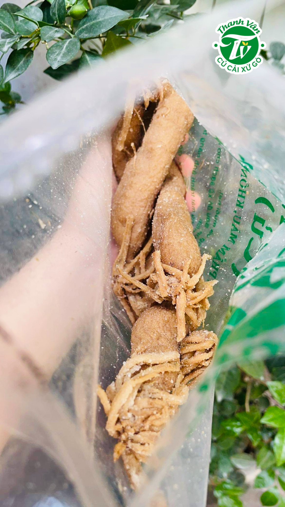 Củ cải muối củ/xá bấu Thanh Vân Gò Công - 500gr