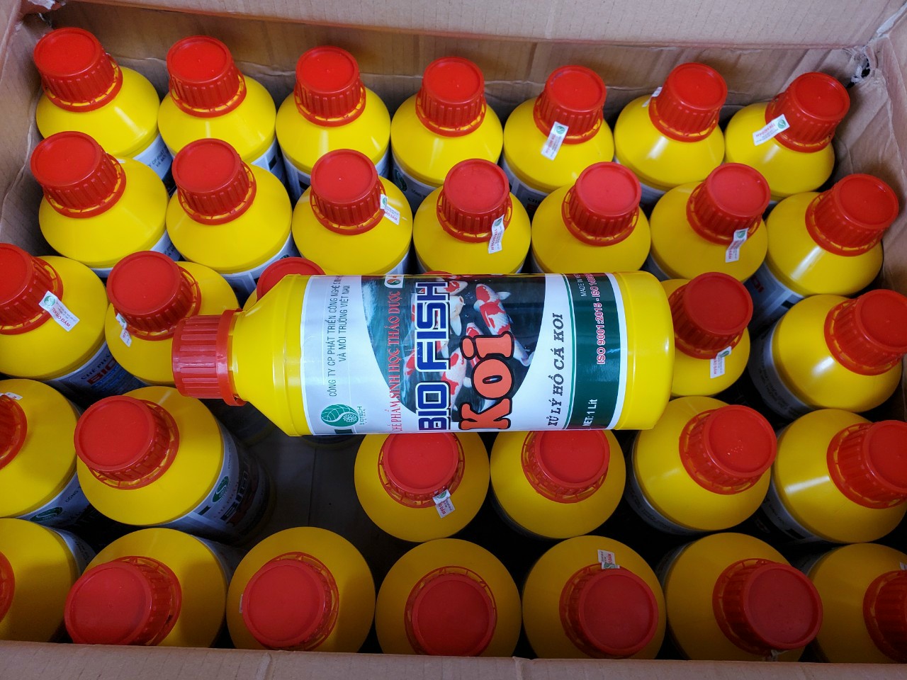 BIOFISH KOI VI SINH LÀM SẠCH NƯỚC HỒ CÁ CẢNH