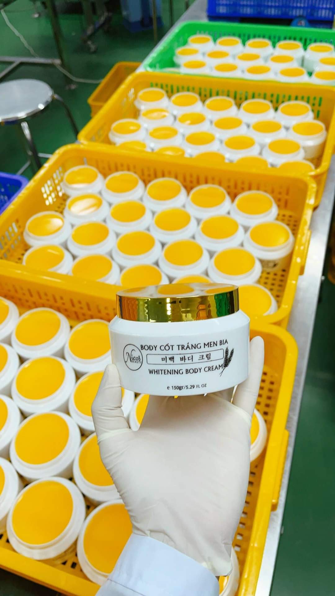 BODY CỐT TRẮNG MEN BIA