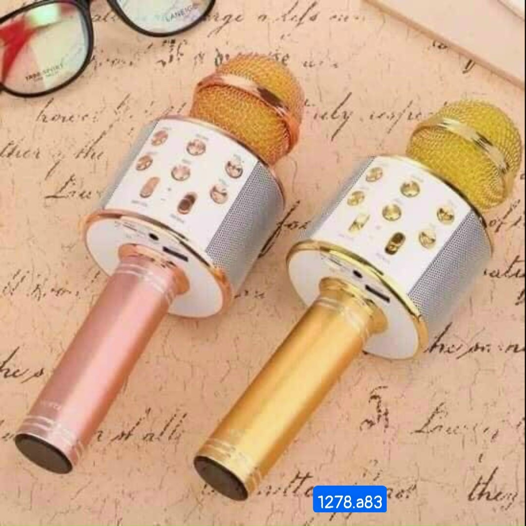 Mic hat karaoke bluetooth WS 858