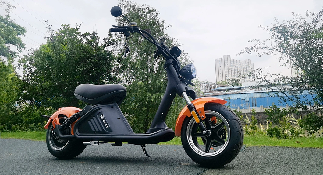 2022 Eec Mobility Moto Electric 1000w Bike Cheap 125cc Harley Adults Balancing Motorcycle 0197