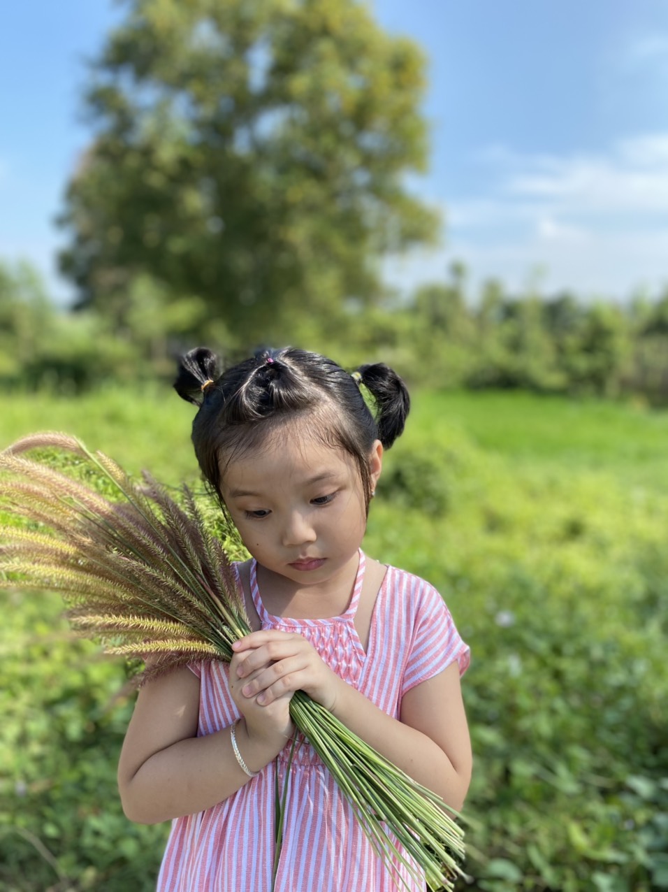 ĐẦM SỌC HỒNG BEE BEE KID CUTE