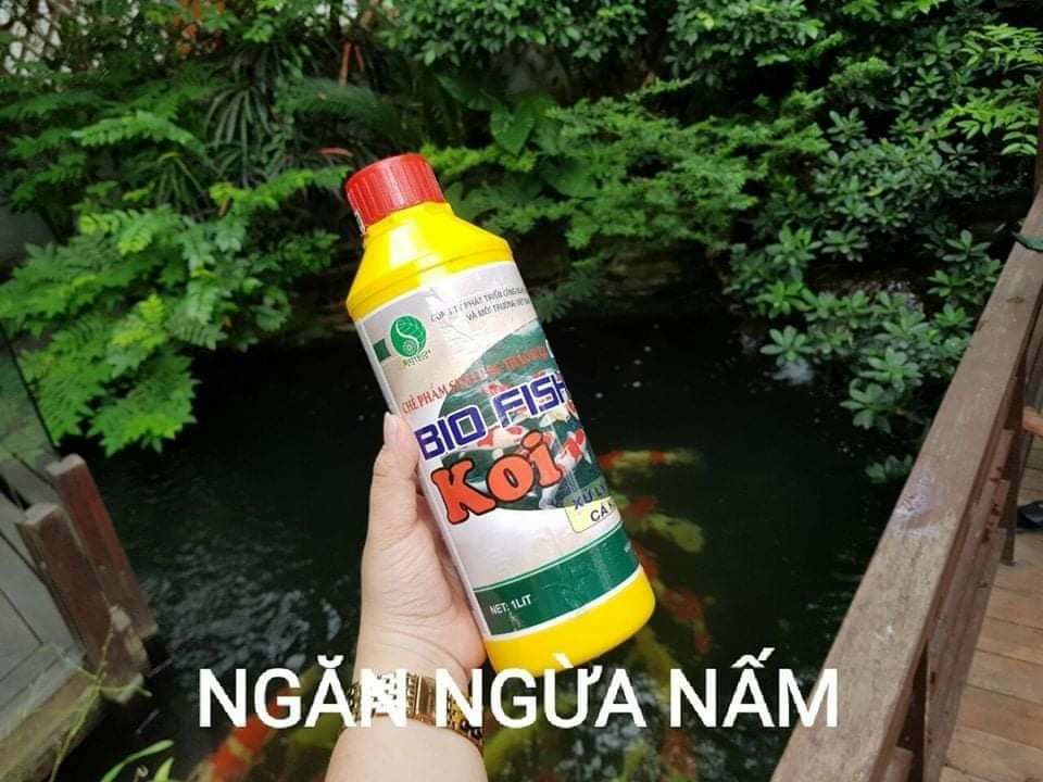BIOFISH KOI VI SINH LÀM SẠCH NƯỚC HỒ CÁ CẢNH