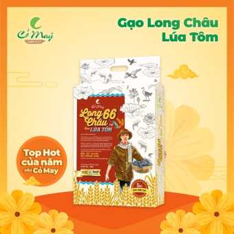 LONG CHÂU 66 gạo Lúa TÔM ST25/ TÚI 5KG DINH DƯỠNG HỮU CƠ AN TOÀN VÀ HỮU ÍCH CHO SỨC KHỎE NGƯỜI TIÊU DÙNG