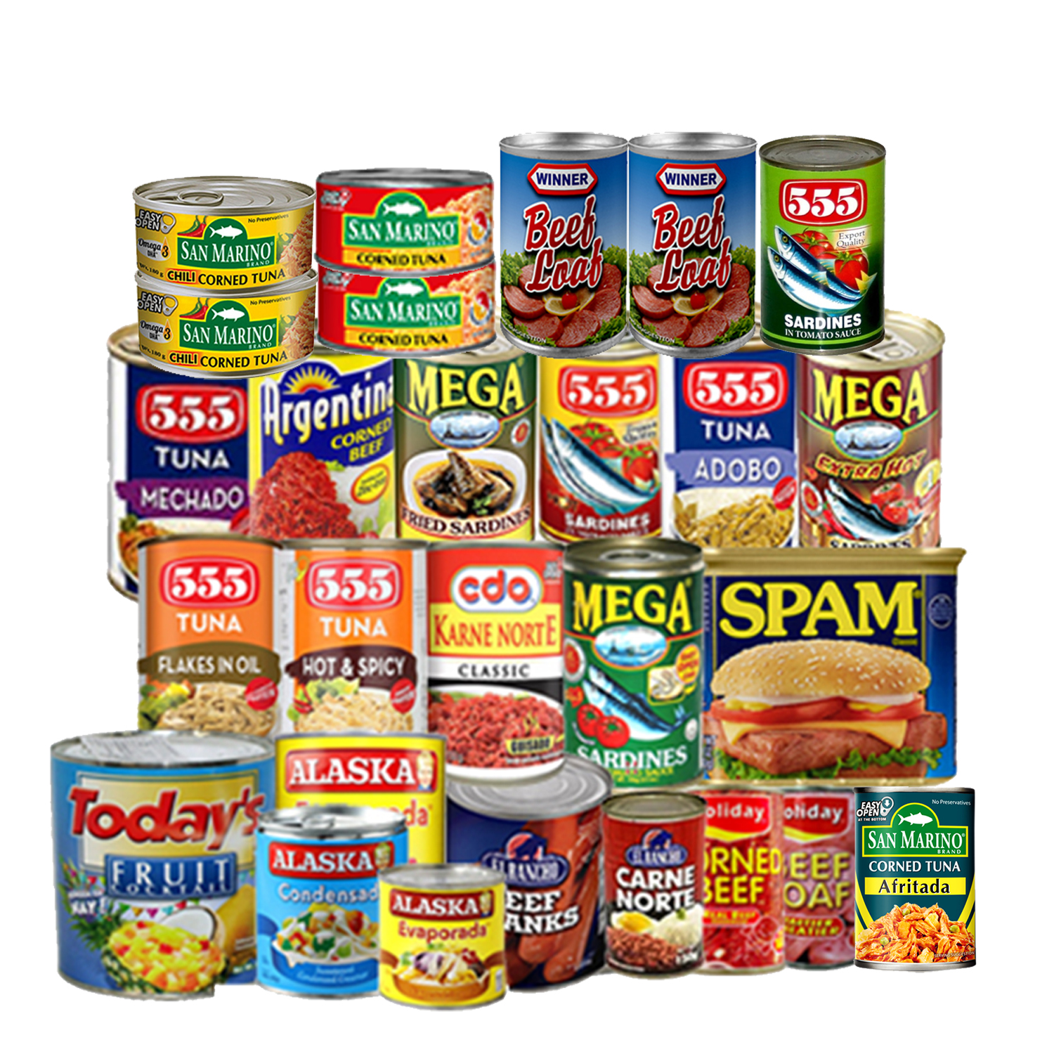 CANNED GOODS **for school project purposes only, do not order Lazada PH