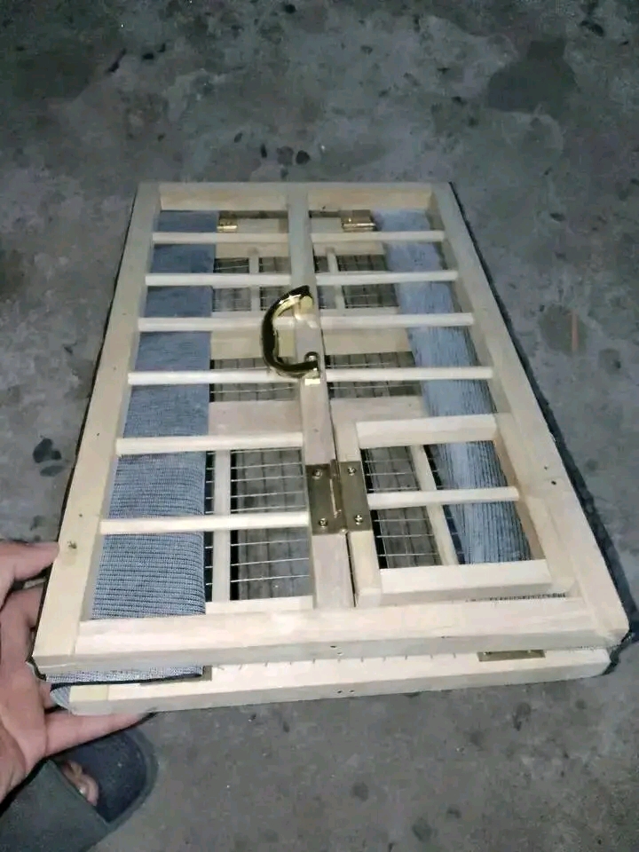 Collapsible/Foldable Pigeon Training Box Lazada PH