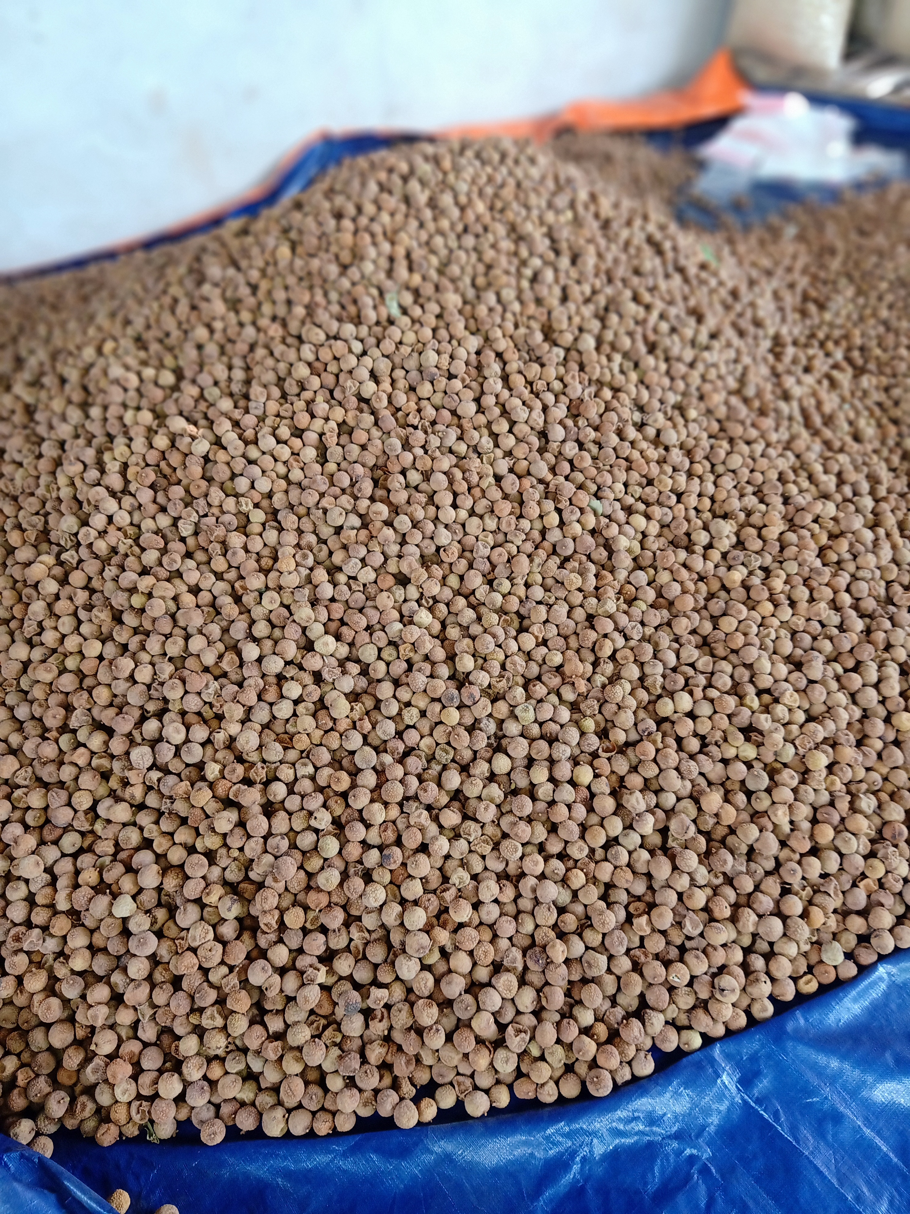 2 kg Vải thiếu sấy khô bắc giang