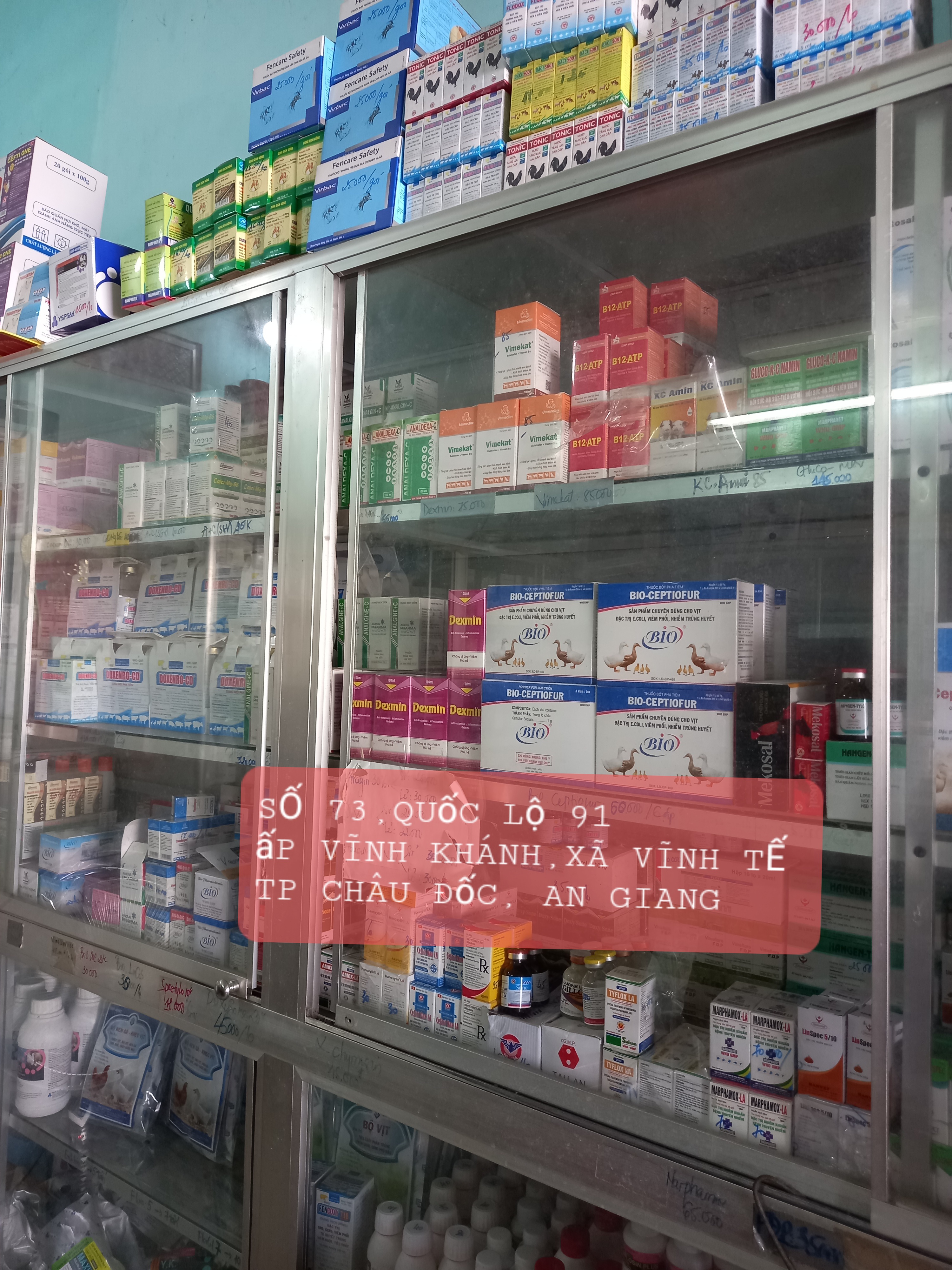 Clostop sp,Gói 100g, Men Tiêu Hóa Cho Thú Cưng